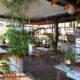 The Living Room, Maboneng