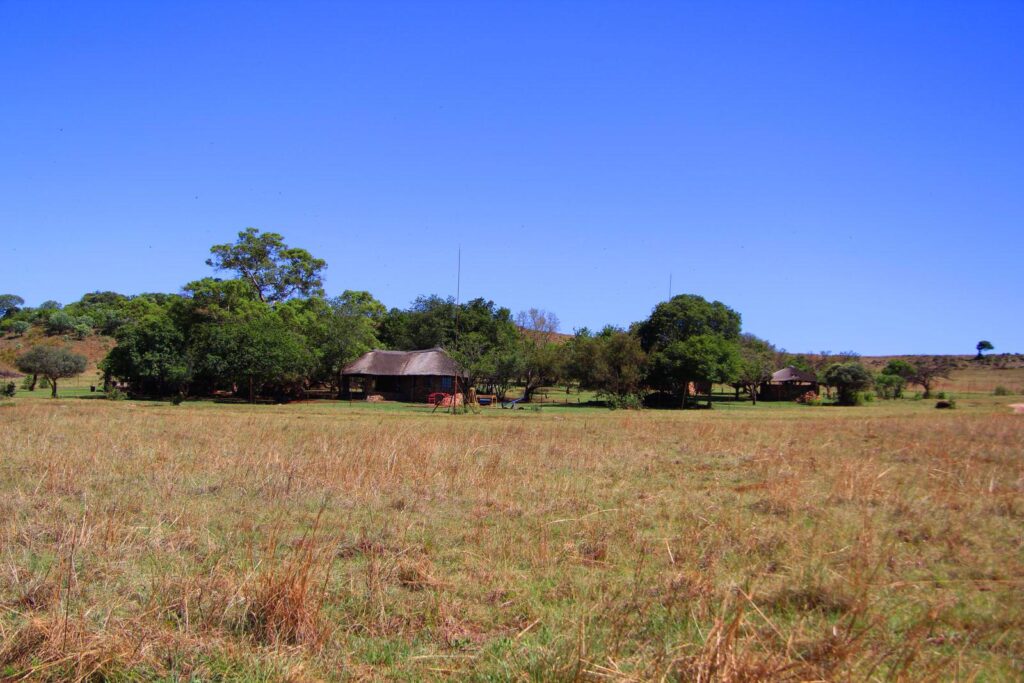 The Rhino & Lion Park Nature Reserve