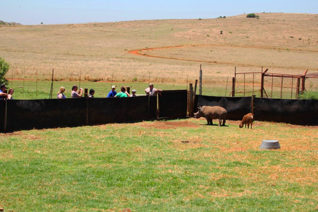 The Rhino & Lion Park Nature Reserve