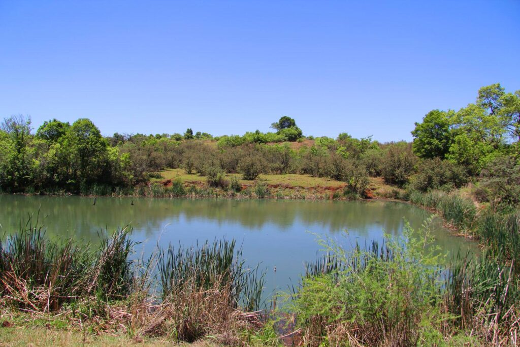The Rhino & Lion Park Nature Reserve