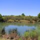 The Rhino & Lion Park Nature Reserve