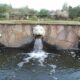 Johannesburg Botanical Gardens and Emmarentia Dam