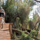 Groenkloof Nature Reserve