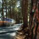 Main Road, Irene